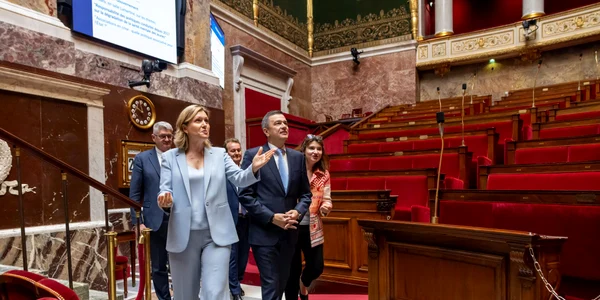 Grindeanu la paris jpg