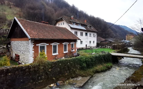 Rușchița  Foto Daniel Guță  ADEVĂRUL (73) jpg