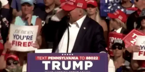 Trump gif