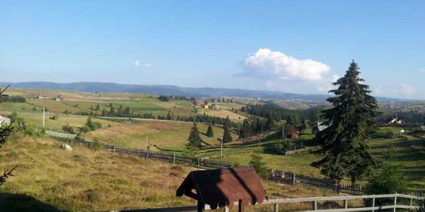 marisel cluj
