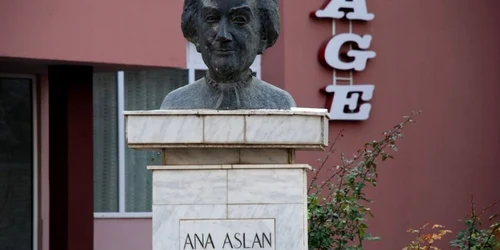 aslan