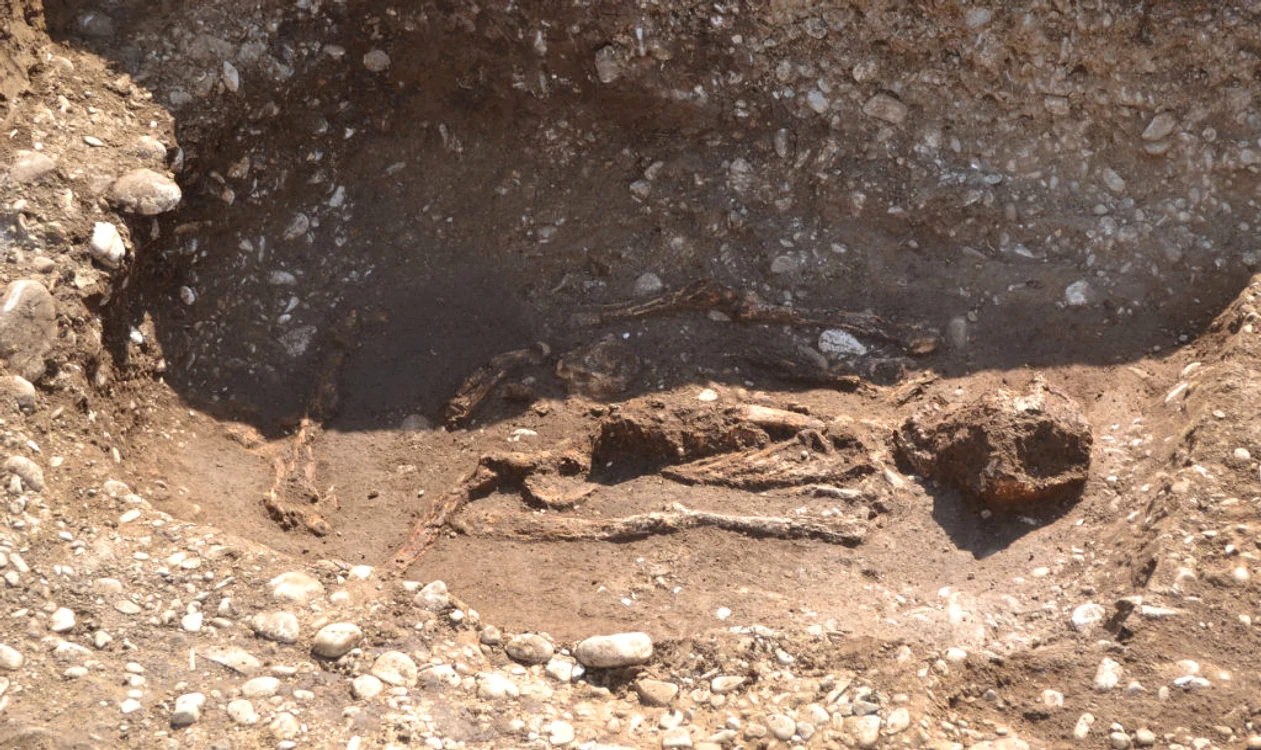 Muzeul Judetean de Istorie si Arheologie Prahova 3 jpg jpeg