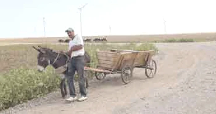 Constanta: Dobrogea va deveni un adevarat parc eolian