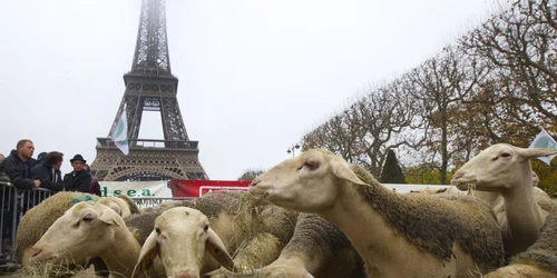 Oi sunt fotografiate în timpul unui protest în faţa Turnului Eiffel din Paris Franţa FOTO AP