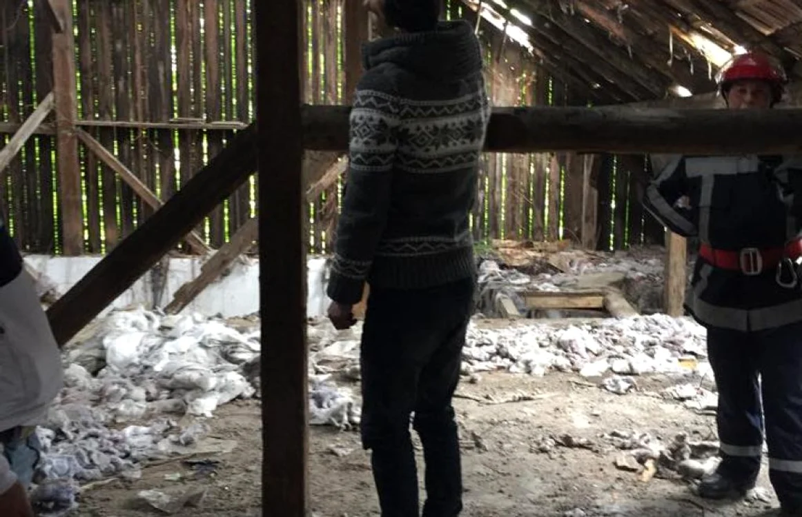 Arhivă