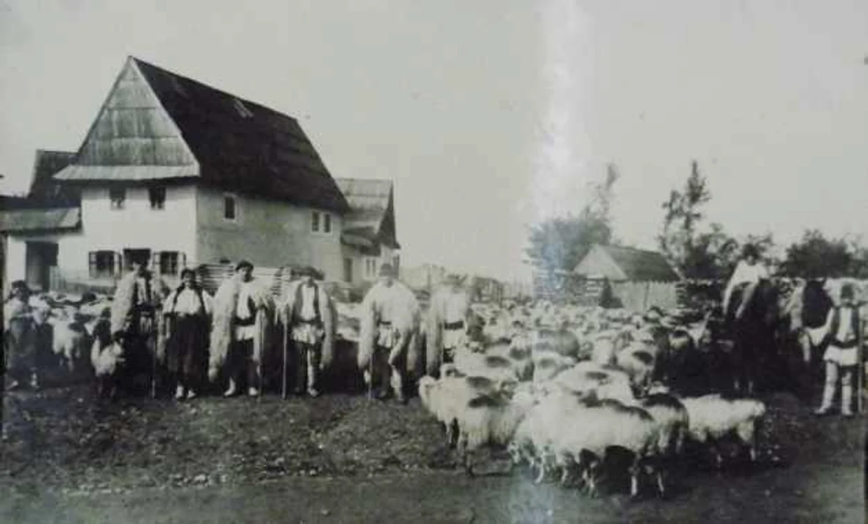 oieri poiana sibiului foto emil fischer