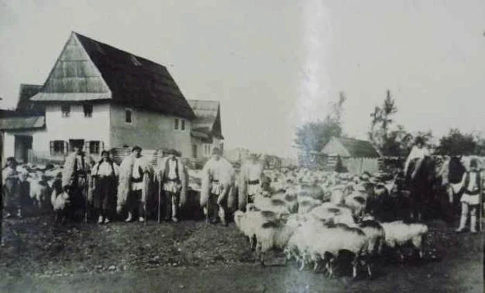oieri poiana sibiului foto emil fischer