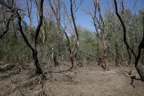 Zona unde o dronă ruseasca ar fi căzut și explodat / FOTO: Inquam Photos Ovidiu Micsik 