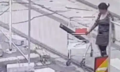 GIF Șine de tramvai