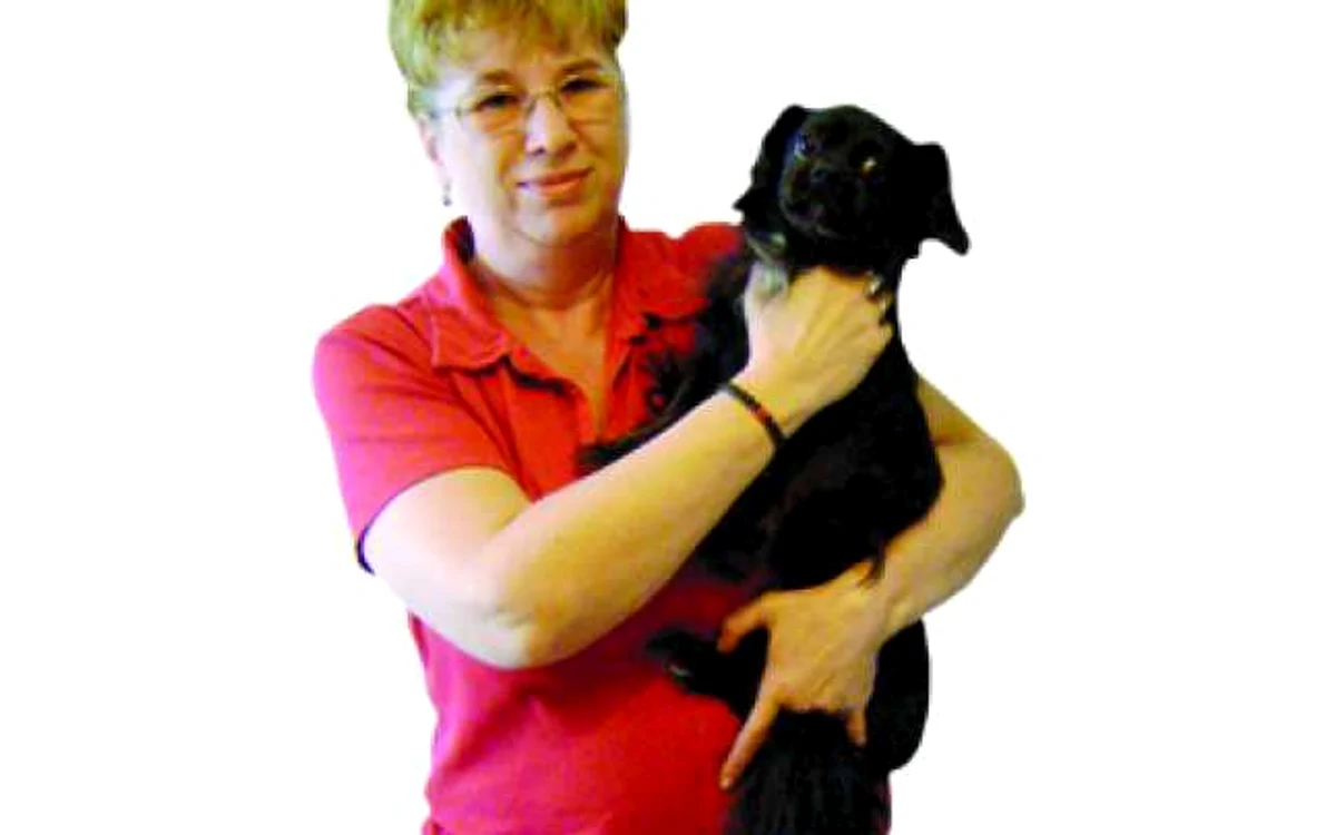 Arad: PORTRET / Ana Stoica salvează animalele străzii