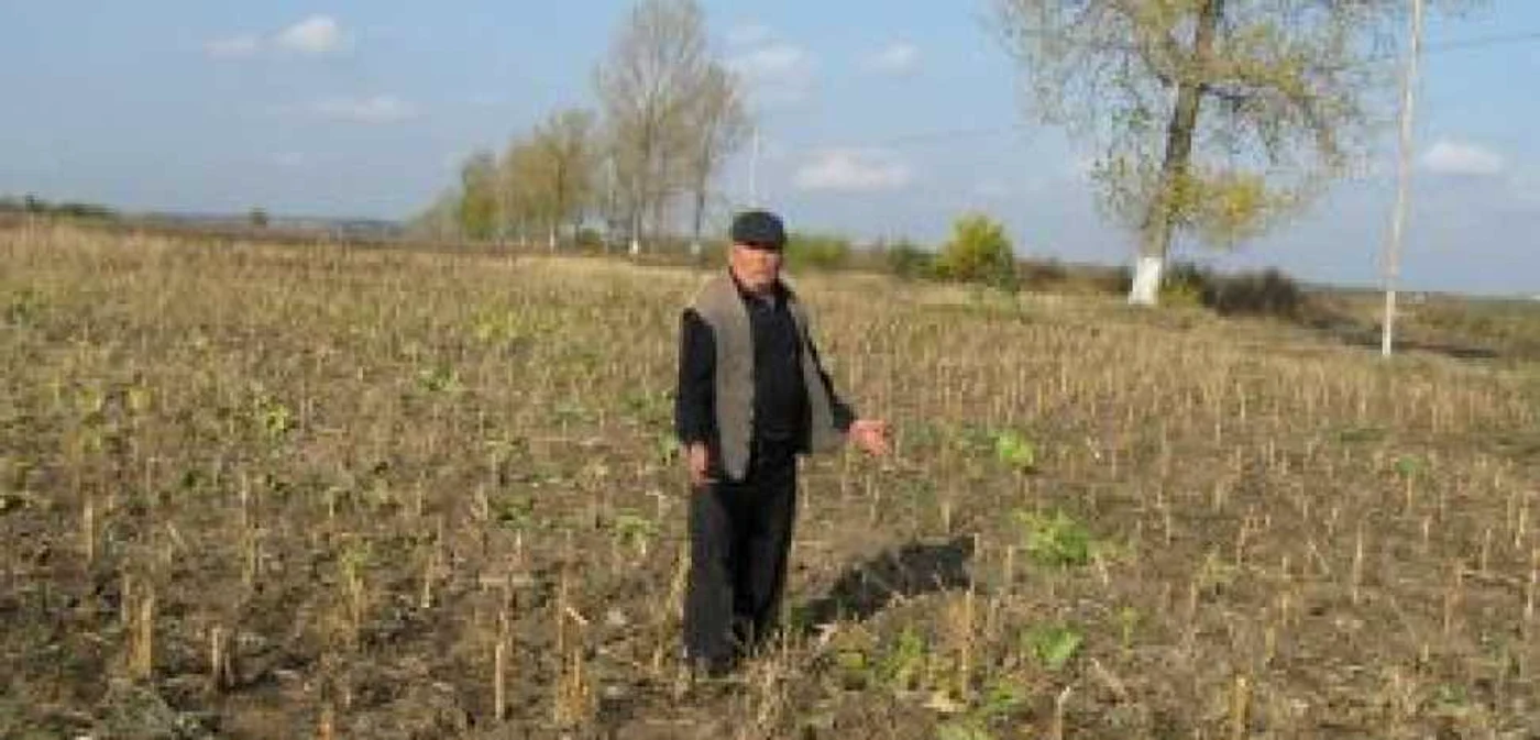 Focşani: Seceta a uscat culturile şi buzunarele ţăranilor