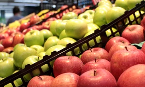fruit 1095326 1280 jpg