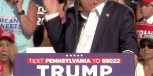 profimedia 0889615826 jpg