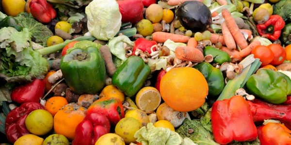 food waste gunoi alimentar