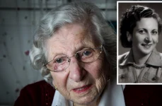 shula cohen webp