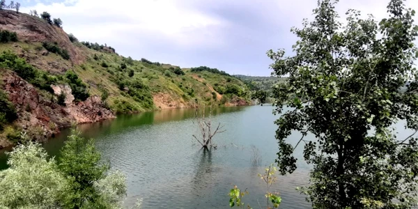 teliuc