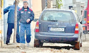 Loto (Fotografii: Dorin Constanda) jpeg