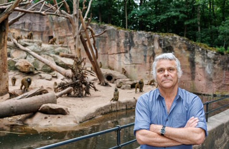 Directorul unei grădini zoologice din Germania, amenințat cu moartea după eutanasierea a 12 babuini