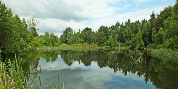 Lacul Goioasa, Muntii Tarcăului FOTO Ionel Codruț (2) jpg