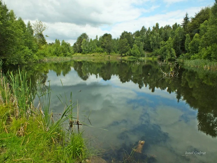 Lacul Foroja din Munții Tarcăului atrage pasionații de drumeții FOTO Ionel Codruț