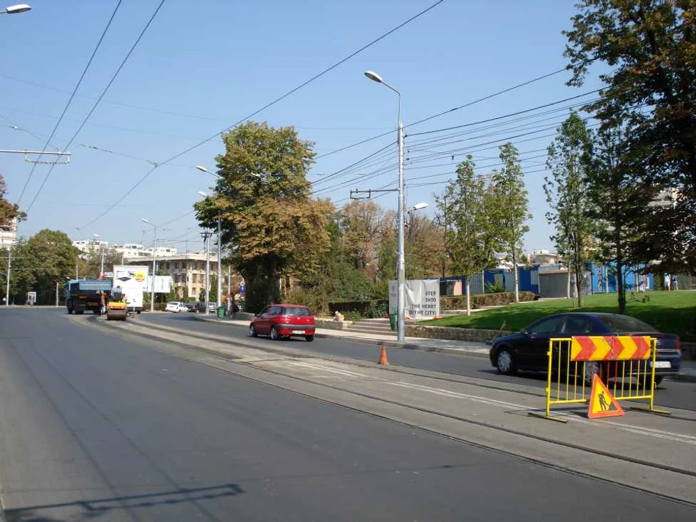 Intervenţii la şină pe strada Palat