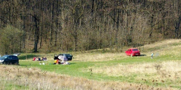 picnic
