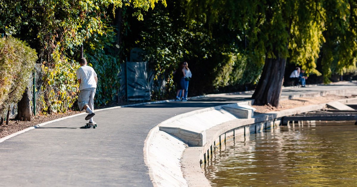 Amenzi uriașe pentru aruncarea gunoiului și toaletarea ilegală a copacilor în Capitală!