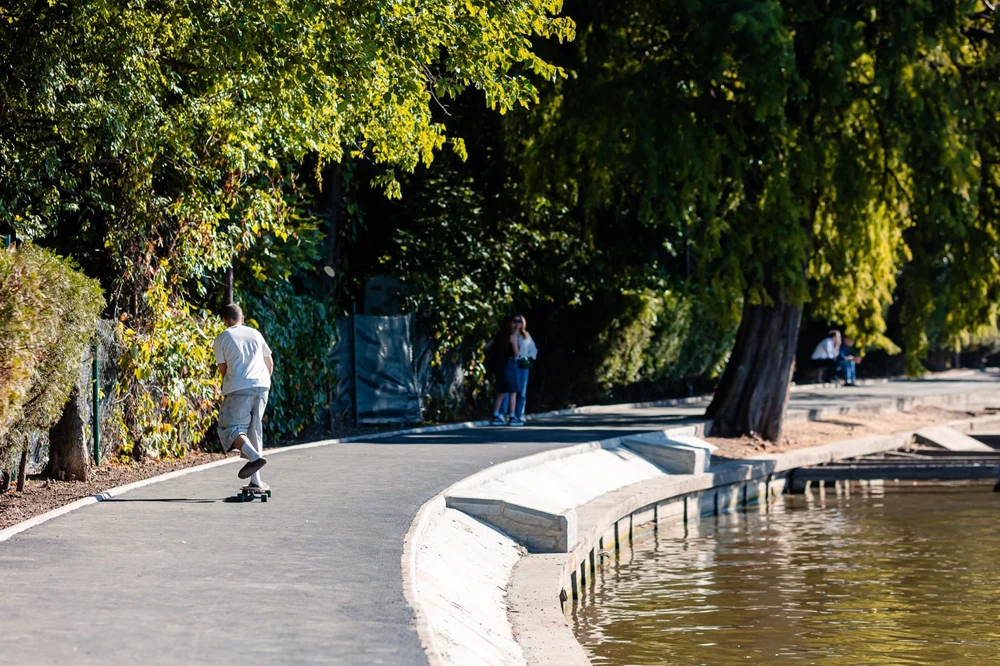 Explodează amenzile pentru aruncarea ambalajelor pe jos și toaletarea neautorizată a arborilor în Capitală. Sancțiunile propuse, de 50 de ori mai mari decât cele actuale