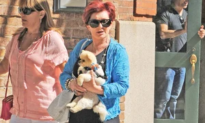 sharon osbourne caini121221 jpeg