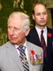 Charles, William și Harry jpg
