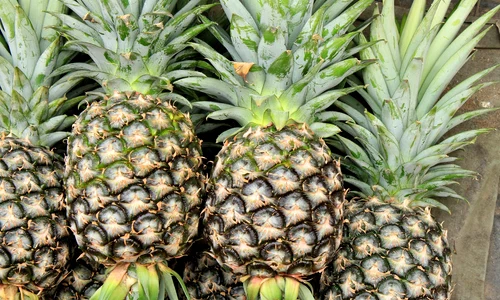 Ananas (foto: Pixabay)