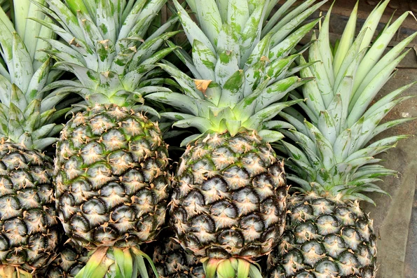 Ananas (foto: Pixabay)