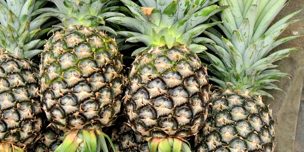 Ananas (foto: Pixabay)
