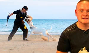 banner dresor jpg