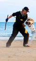 banner dresor jpg