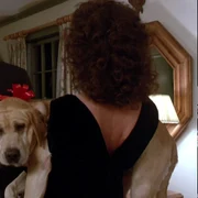 Chevy Chase and Madolyn Smith Osborne in Funny Farm jpeg