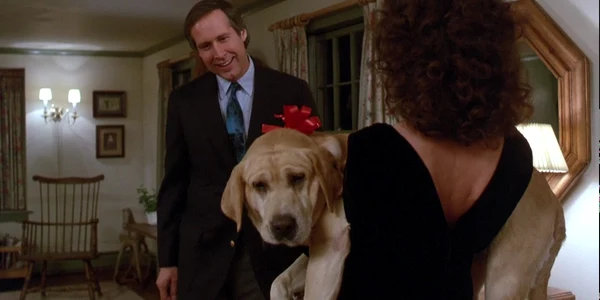 Chevy Chase and Madolyn Smith Osborne in Funny Farm jpeg