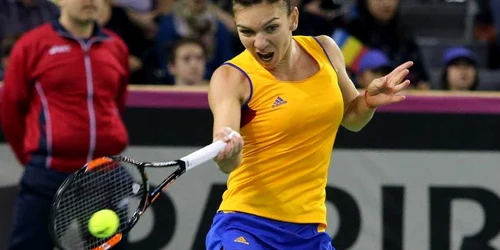 România - Cehia Fed Cup