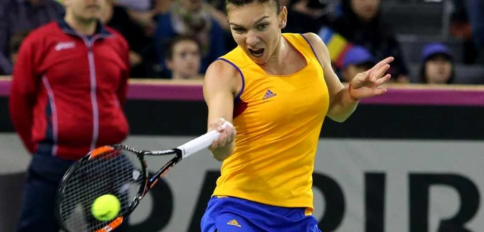 România - Cehia Fed Cup