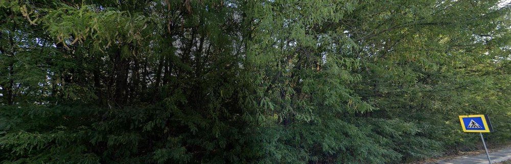 Centura Verde a Capitalei va deveni realitate în această toamnă. Când va fi votul decisiv