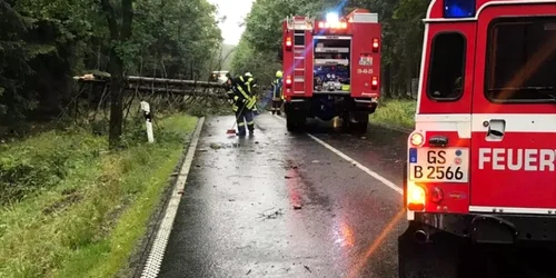 Copac căzut pe o şosea din Germania- FOTO Facebook/ Freiwillige Feuerwehr Braunlage