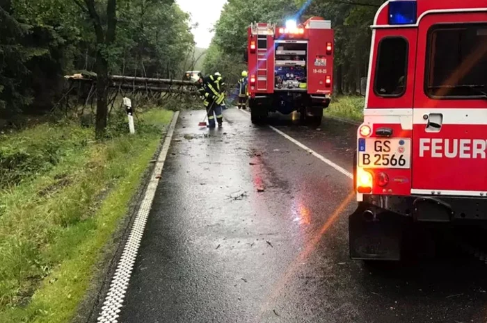 Pagubele produse maşinii peste care a căzut copacul se ridică la 17.000 de euro. FOTO
Facebook/ Freiwillige Feuerwehr Braunlage