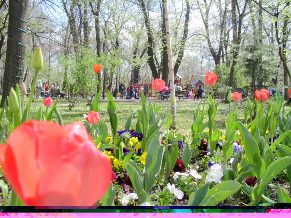 Maximele termice în următoarea perioadă ar putea atinge şi 28 de grade Celsius FOTO Adevărul