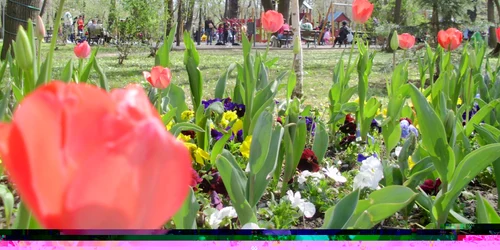 Bucureştenii au dat năvala în parcuri în primele zile de primăvară