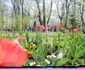 Bucureştenii au dat năvala în parcuri în primele zile de primăvară