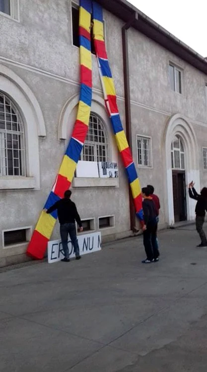 eroi arad