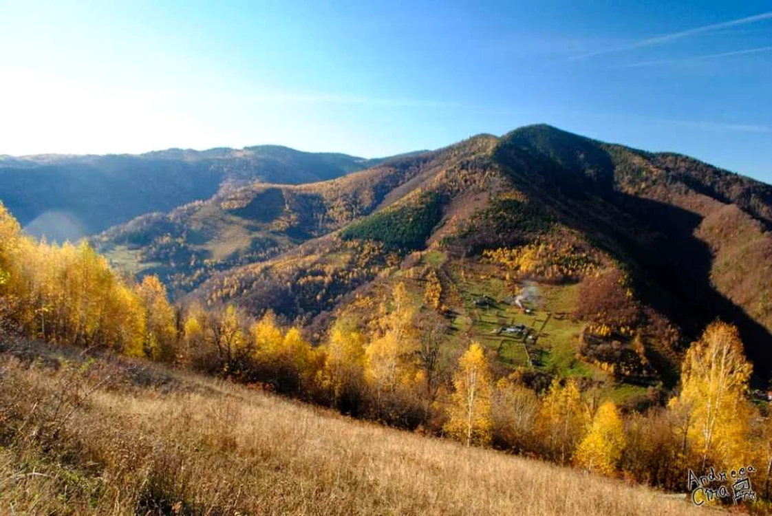 valea ierii