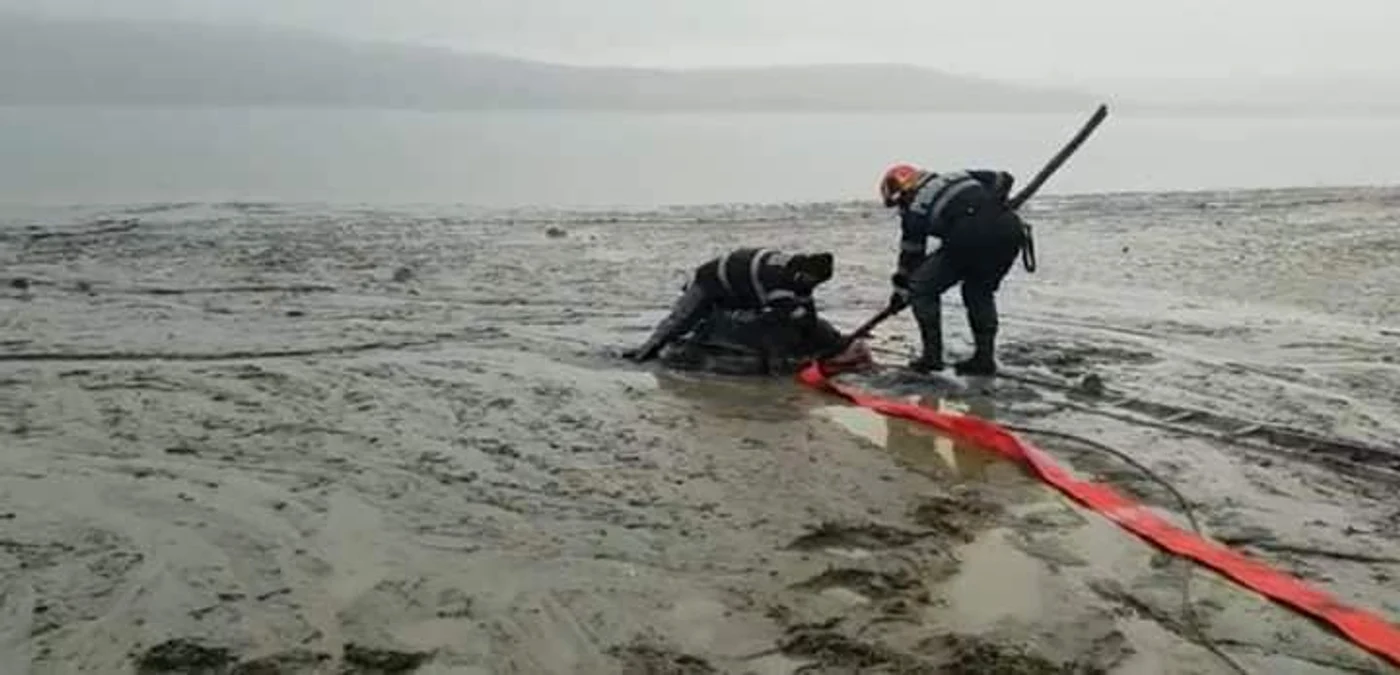 Din cauza încercărilor repetate de a se salva pe cont propriu, calul s-a afundat aproape complet în solul moale.