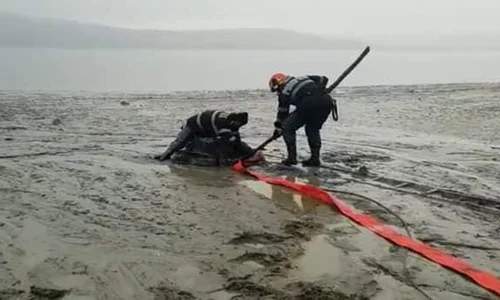 Din cauza încercărilor repetate de a se salva pe cont propriu, calul s a afundat aproape complet în solul moale  jpeg