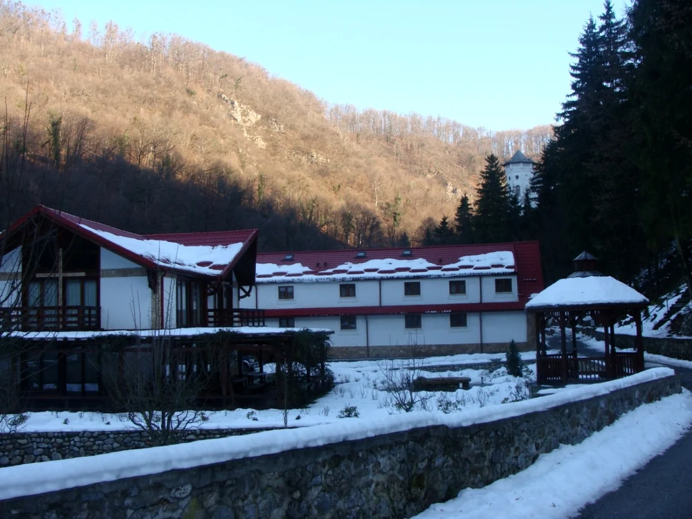 Tismana